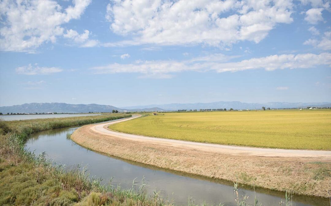 4 raons per visitar el Parc Natural del Delta de l’Ebre