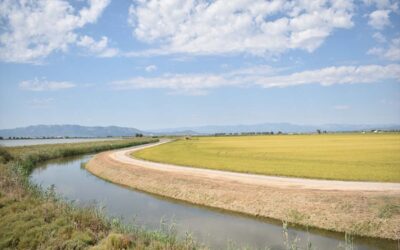 parque natural del delta del ebro