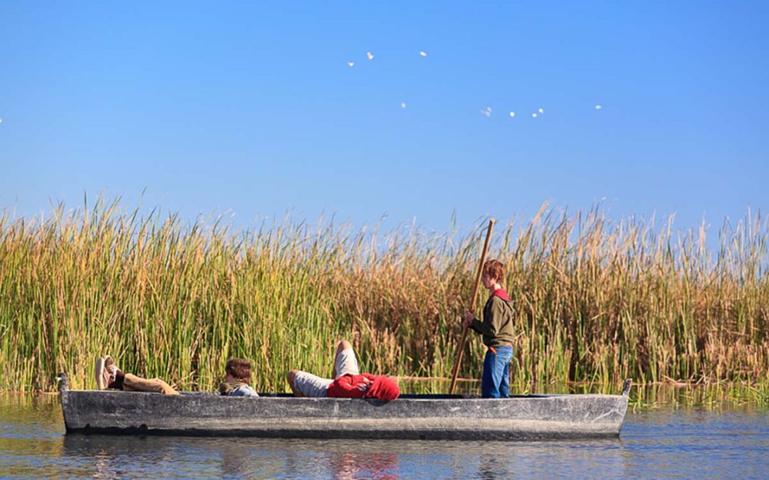 10 motius per visitar el Delta de l’Ebre aquesta primavera