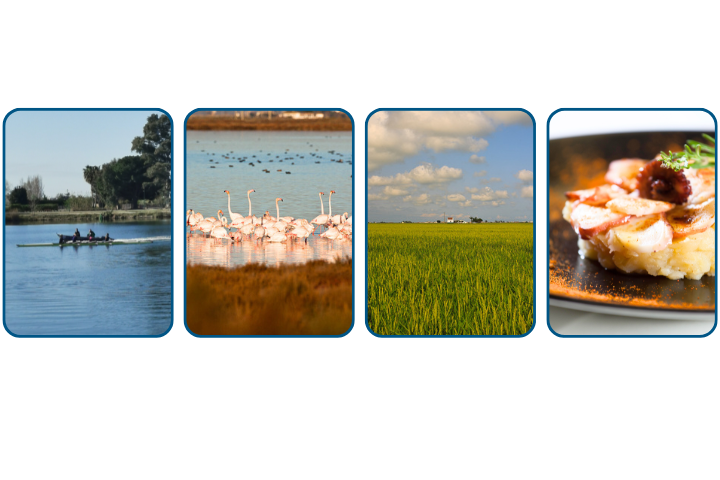 ACTIVITATS-RECOMANADES-AL-DELTA-DE-LEBRE-RUTES-BARCA-AUS-ARROSARS-GASTRONOMIA