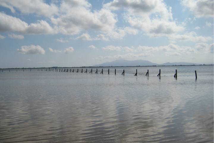 Paisatge del Delta de l’Ebre amb horitzons infinits durant l’eclipsi solar, escenari ideal per observar el fenomen.