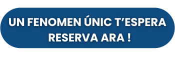 cta fenomen únic t'espera al deltebre