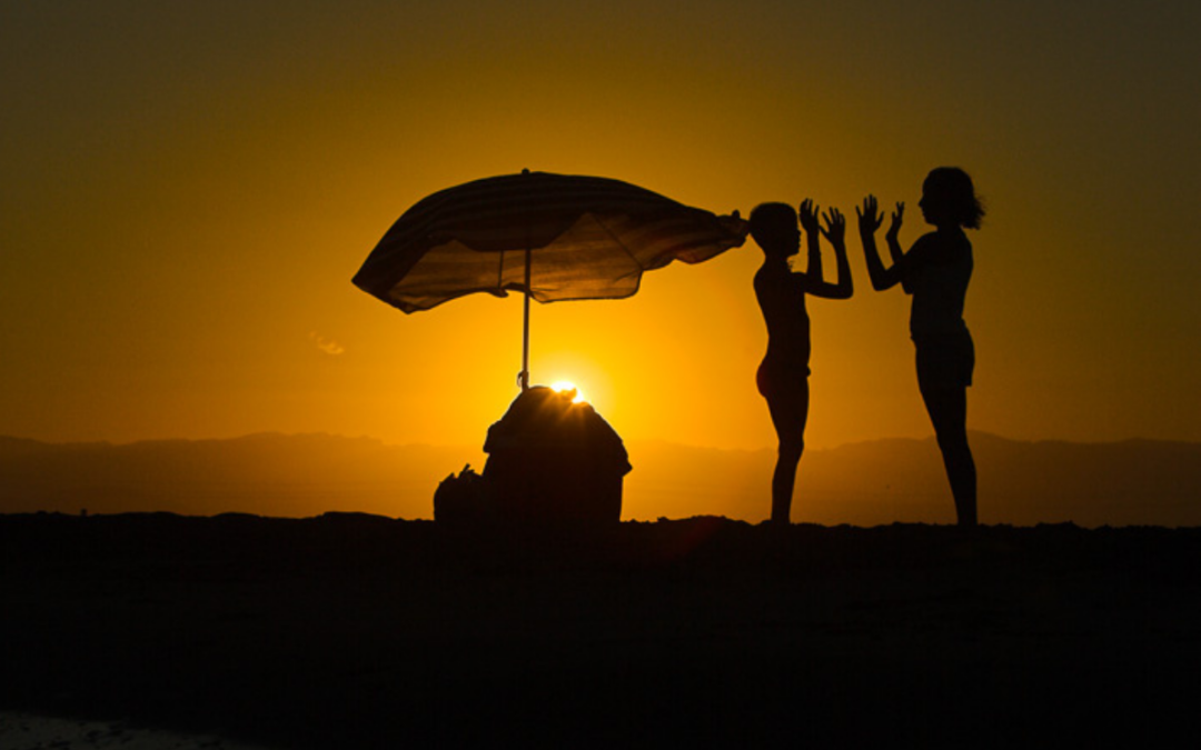 Vacances sense pantalles al Delta de l’Ebre