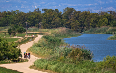 Rutas en bicicleta por el Delta de l’Ebre cerca de Hotel Rull