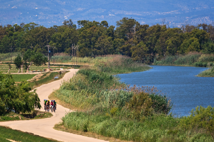 Rutas en bicicleta por el Delta desde Hotel Rull