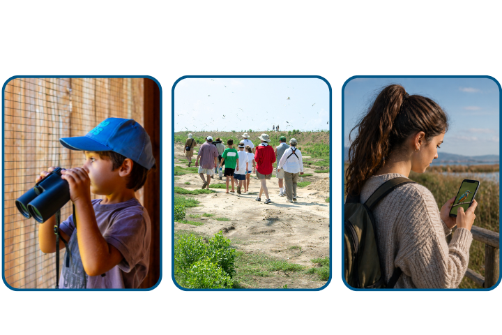 exemple per portar una jornada observació d'ocells