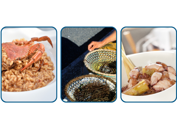 comida-local-deltebre-hotelrull