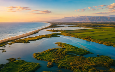 Vista aèria del Delta de l’Ebre al capvespre, amb canals d’aigua serpentejants, zones humides, vegetació i la línia de costa estenent-se fins a l’horitzó