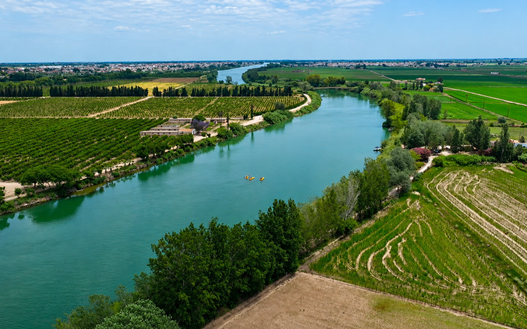 Experiències per descobrir el Delta de l’Ebre des de l’Hotel Rull