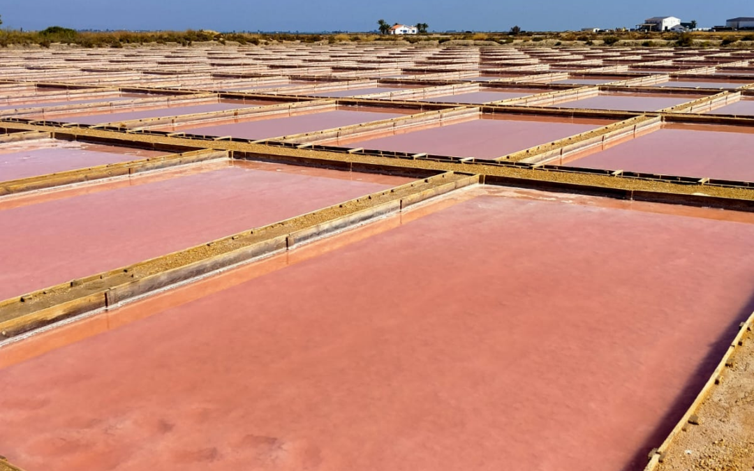 Salinas del Delta del Ebro: un paisaje entre la tierra y el mar