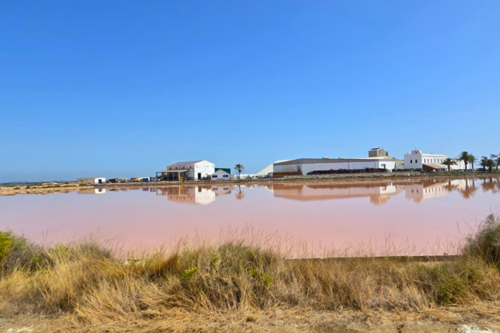 Salinas del Delta del Ebro en la Punta de la Banya