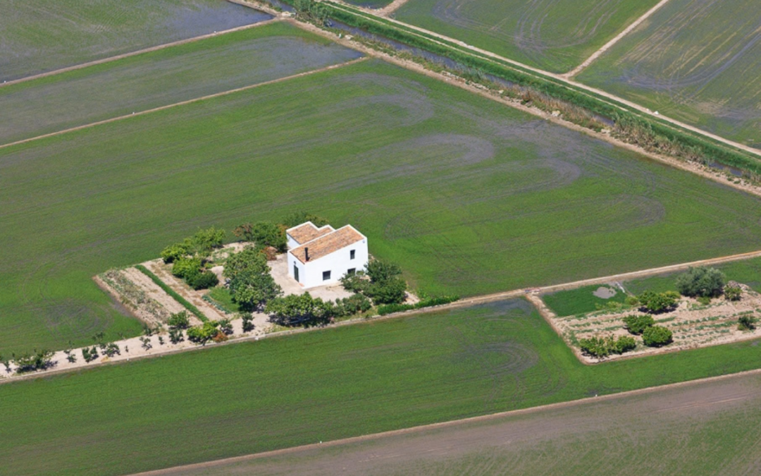 La història del cultiu de l’arròs al Delta de l’Ebre: un paisatge que explica qui som